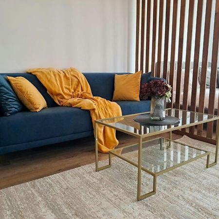 Mountain Breeze Luxury Apartment Ac & Parcare Privata Brasov Exterior photo